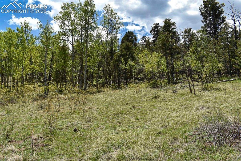 130 Rock Drive Guffey CO 80820