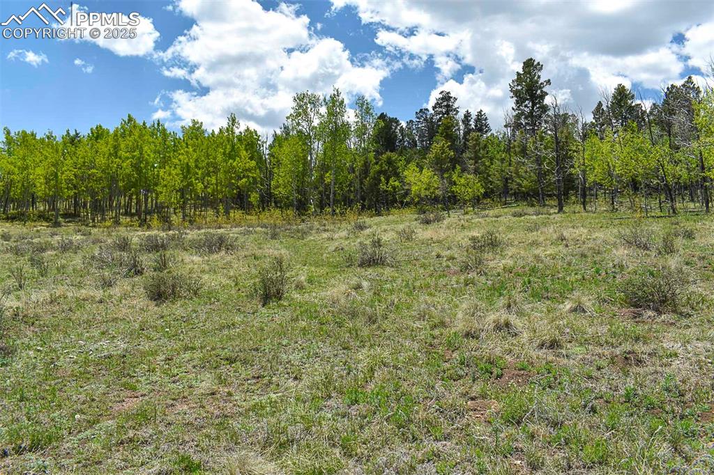 130 Rock Drive Guffey CO 80820