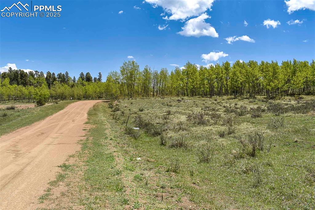 130 Rock Drive Guffey CO 80820