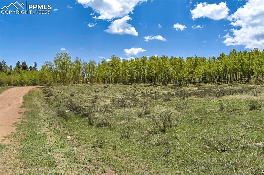 130 Rock Drive Guffey CO 80820