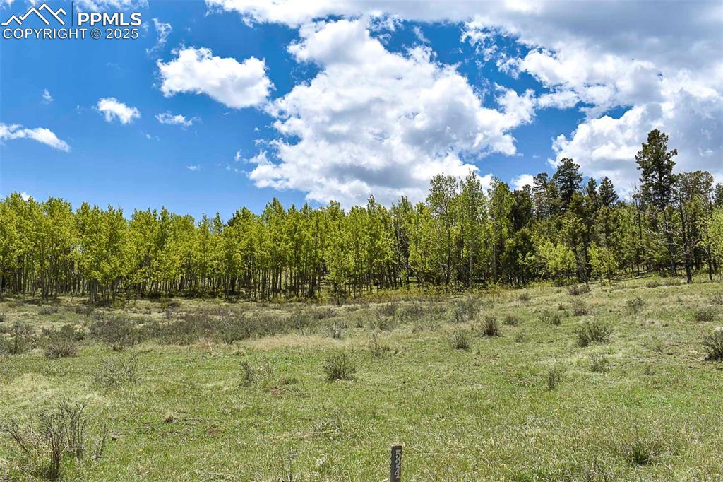 130 Rock Drive Guffey CO 80820