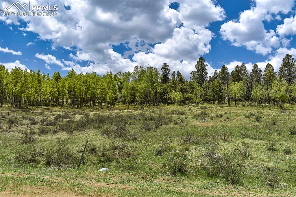 130 Rock Drive Guffey CO 80820