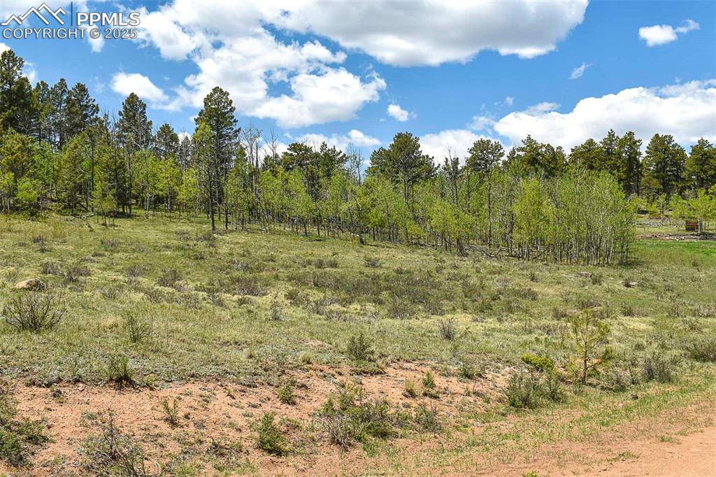 130 Rock Drive Guffey CO 80820