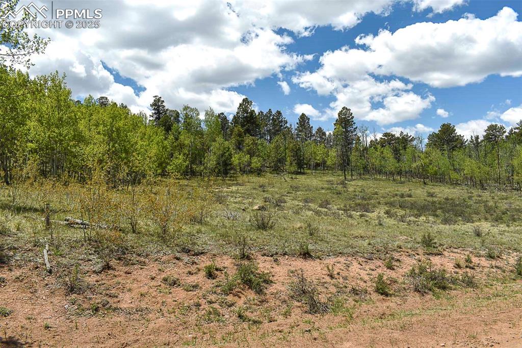 130 Rock Drive Guffey CO 80820