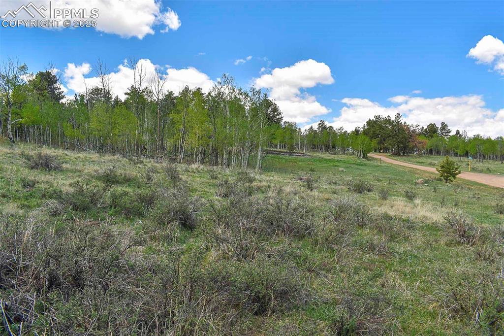 130 Rock Drive Guffey CO 80820