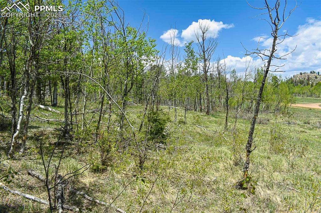 130 Rock Drive Guffey CO 80820