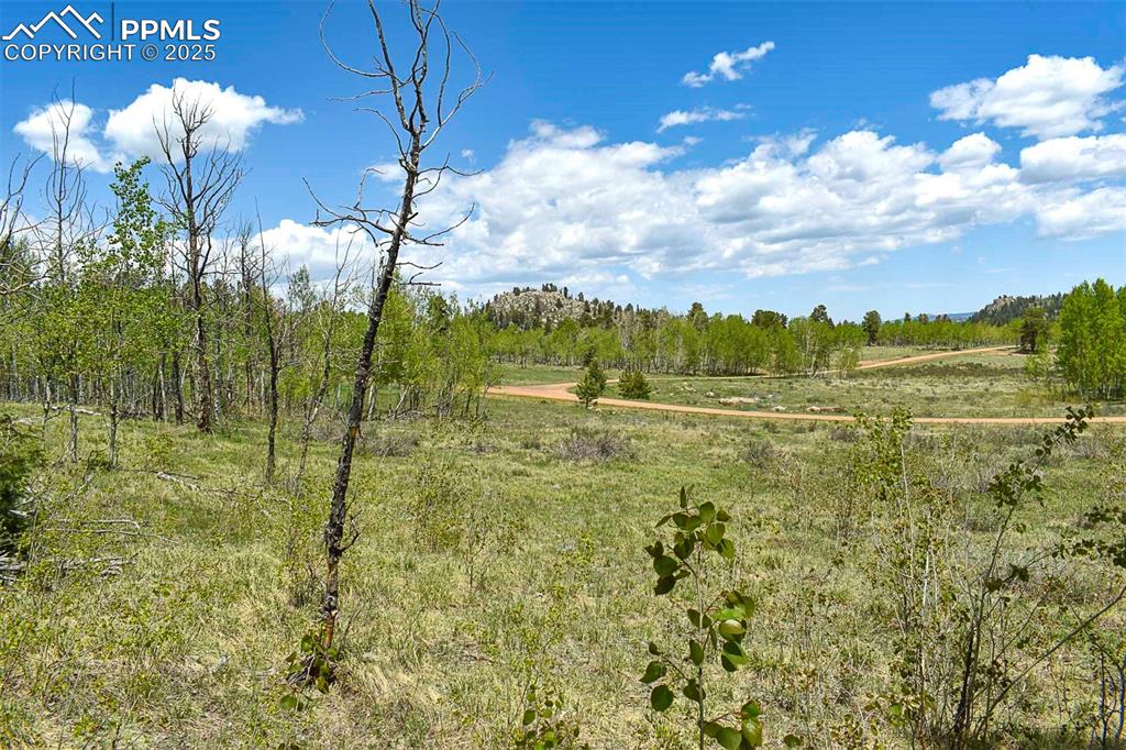 130 Rock Drive Guffey CO 80820