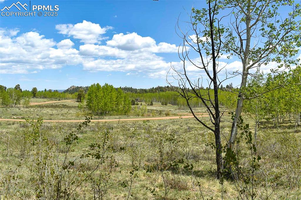 130 Rock Drive Guffey CO 80820
