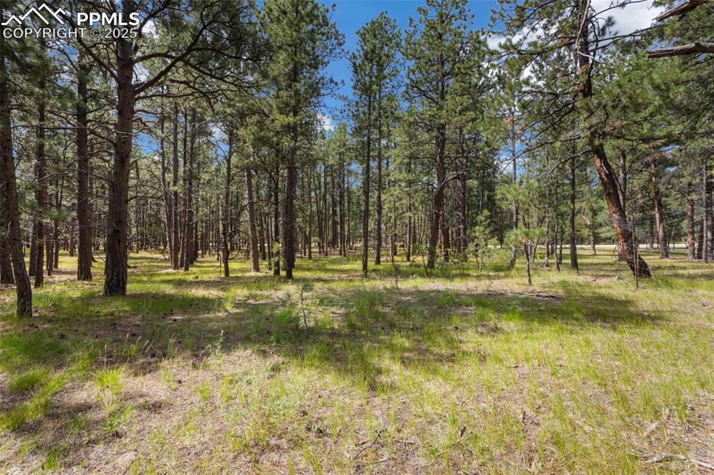 10930 Elizabeth Way Colorado Springs CO 80908