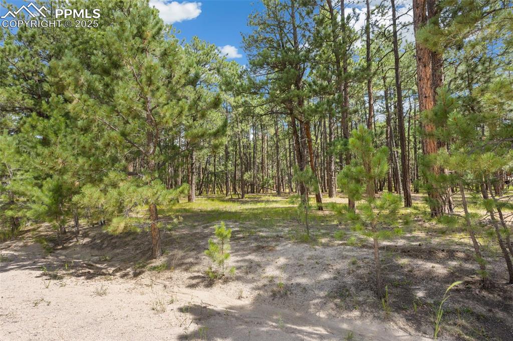 10930 Elizabeth Way Colorado Springs CO 80908