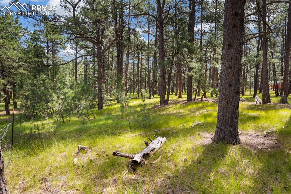 10930 Elizabeth Way Colorado Springs CO 80908