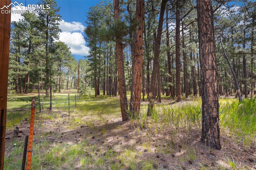 10930 Elizabeth Way Colorado Springs CO 80908