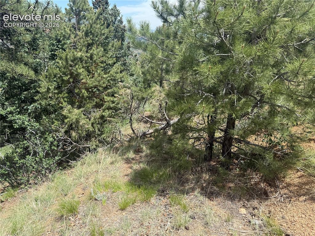 358 Sugarloaf Road Manitou Springs CO 80829