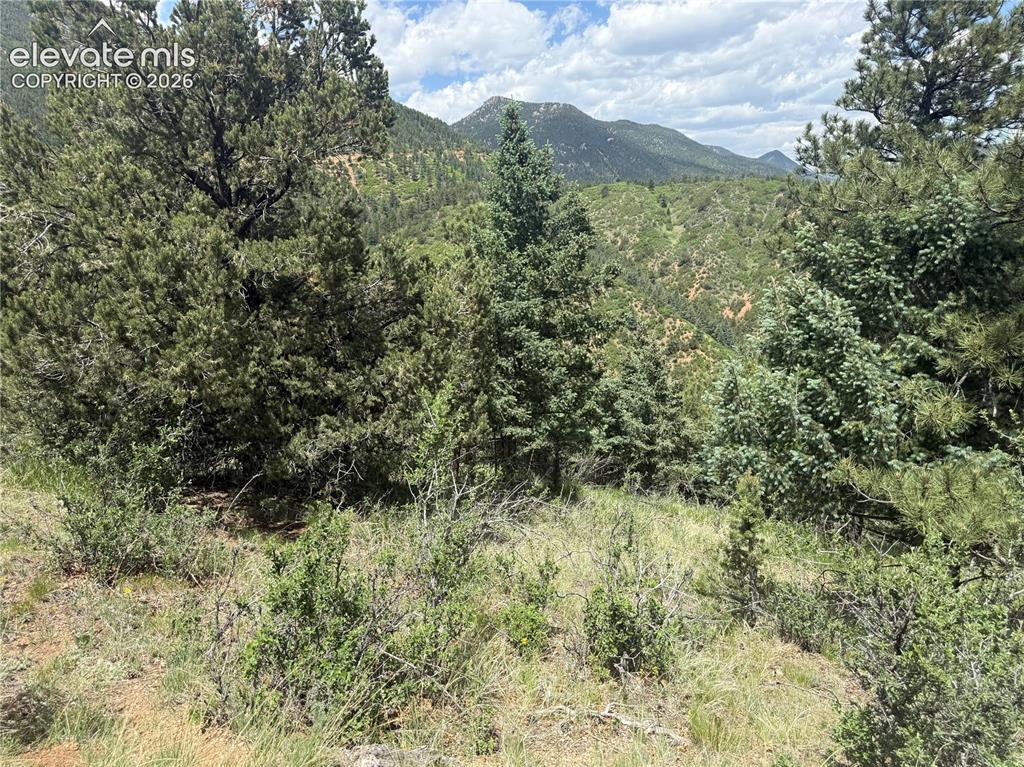 358 Sugarloaf Road Manitou Springs CO 80829