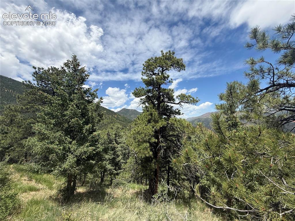 358 Sugarloaf Road Manitou Springs CO 80829