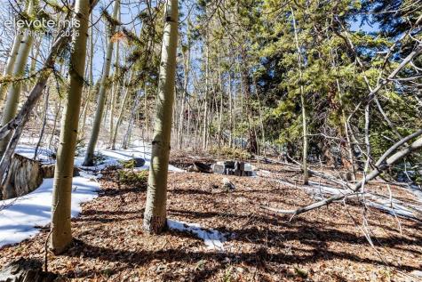 944 Roberts Road Alma CO 80420