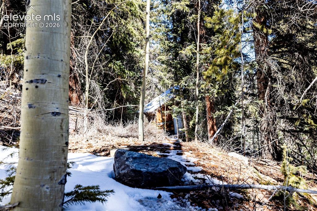 944 Roberts Road Alma CO 80420