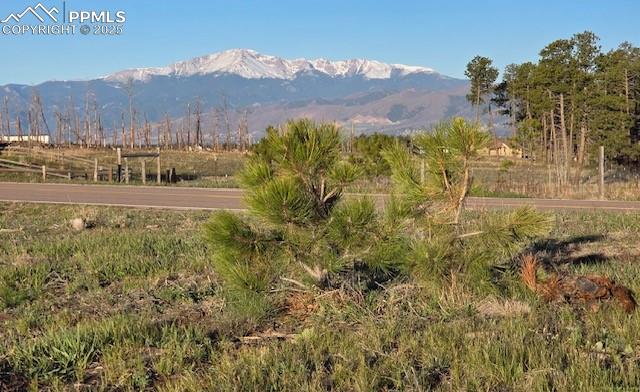 7830 Fairytale Heights Colorado Springs CO 80908