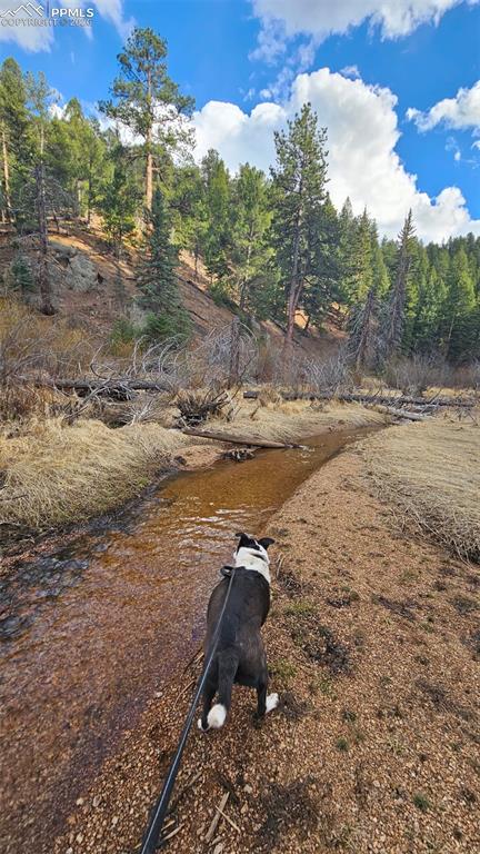 29545 Highway 67 Woodland Park CO 80863