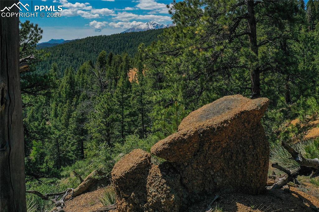 29545 Highway 67 Woodland Park CO 80863