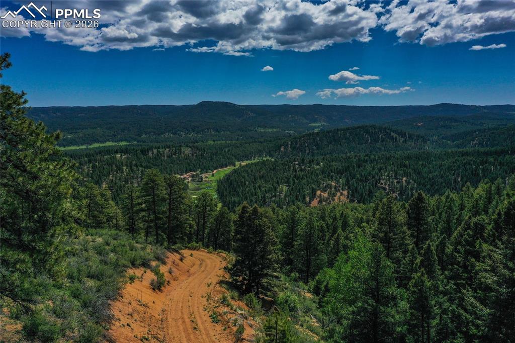 29545 Highway 67 Woodland Park CO 80863
