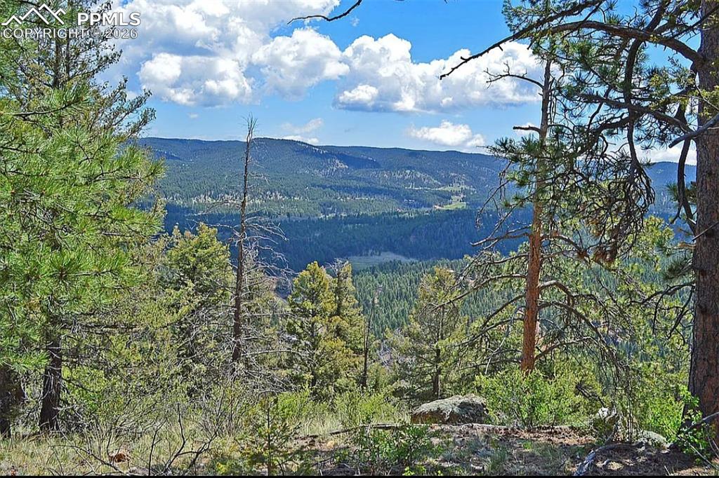 29545 Highway 67 Woodland Park CO 80863