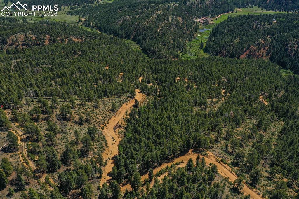 29545 Highway 67 Woodland Park CO 80863