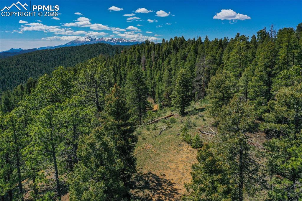 29545 Highway 67 Woodland Park CO 80863
