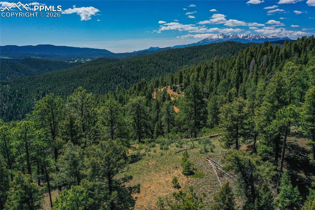 29545 Highway 67 Woodland Park CO 80863