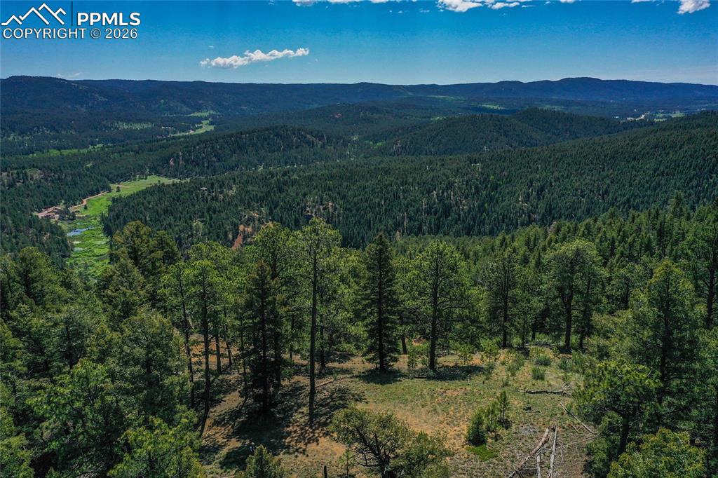 29545 Highway 67 Woodland Park CO 80863