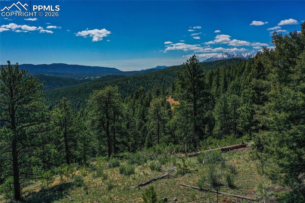 29545 Highway 67 Woodland Park CO 80863