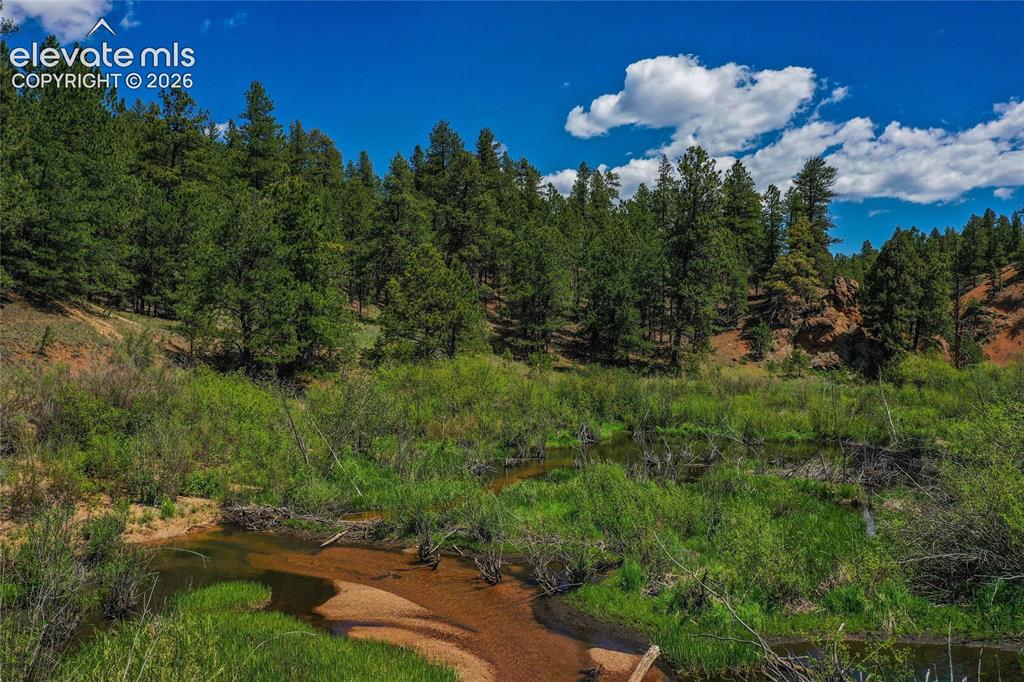 29545 Highway 67 Woodland Park CO 80863
