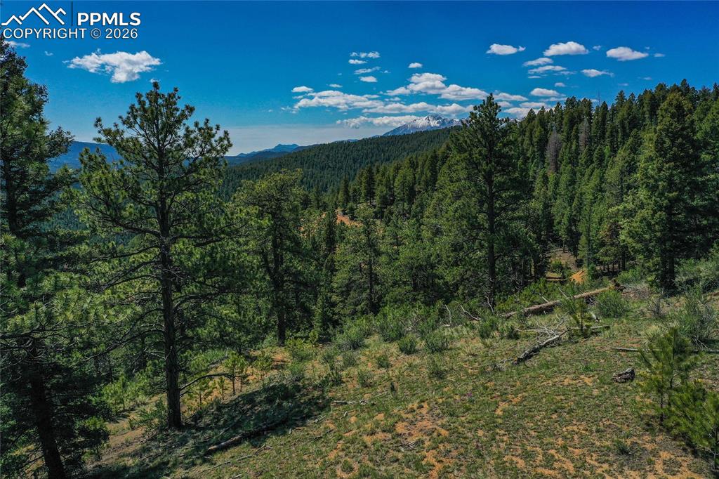 29545 Highway 67 Woodland Park CO 80863