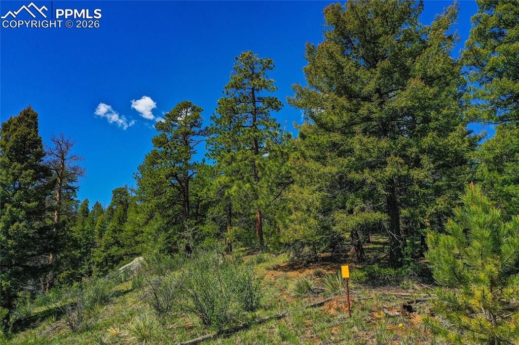 29545 Highway 67 Woodland Park CO 80863