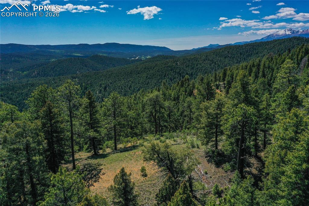 29545 Highway 67 Woodland Park CO 80863
