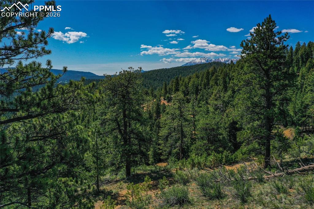 29545 Highway 67 Woodland Park CO 80863
