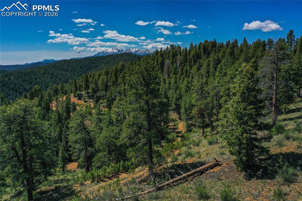 29545 Highway 67 Woodland Park CO 80863