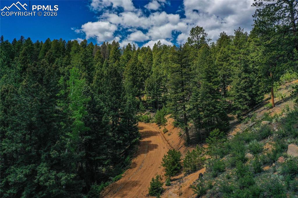 29545 Highway 67 Woodland Park CO 80863
