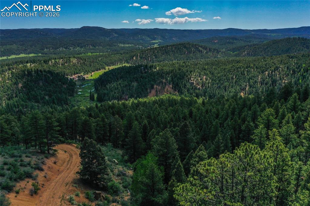 29545 Highway 67 Woodland Park CO 80863