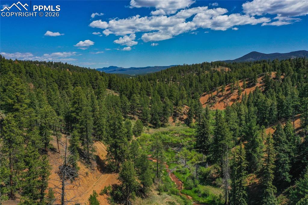 29545 Highway 67 Woodland Park CO 80863