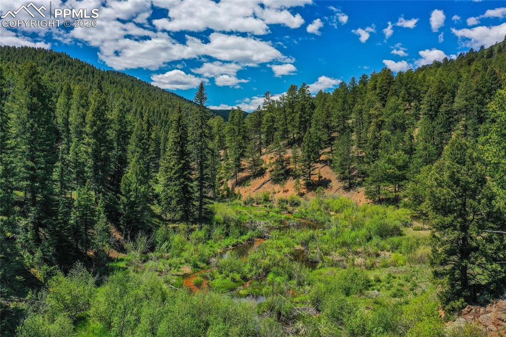 29545 Highway 67 Woodland Park CO 80863