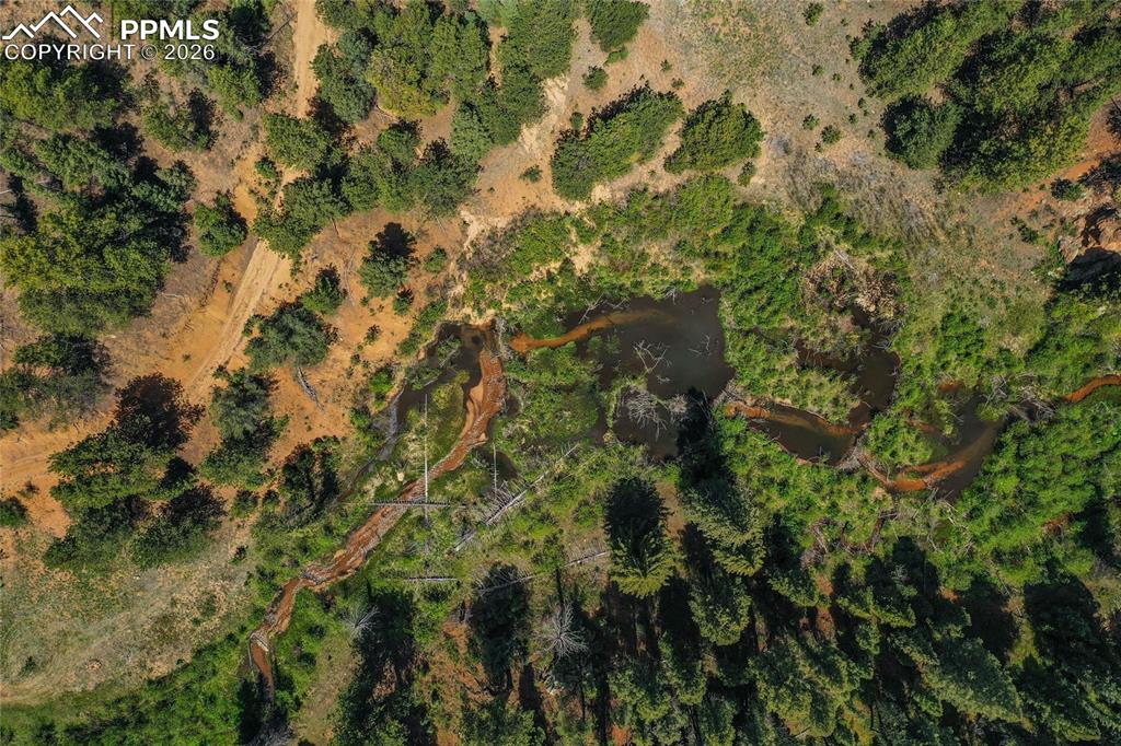 29545 Highway 67 Woodland Park CO 80863