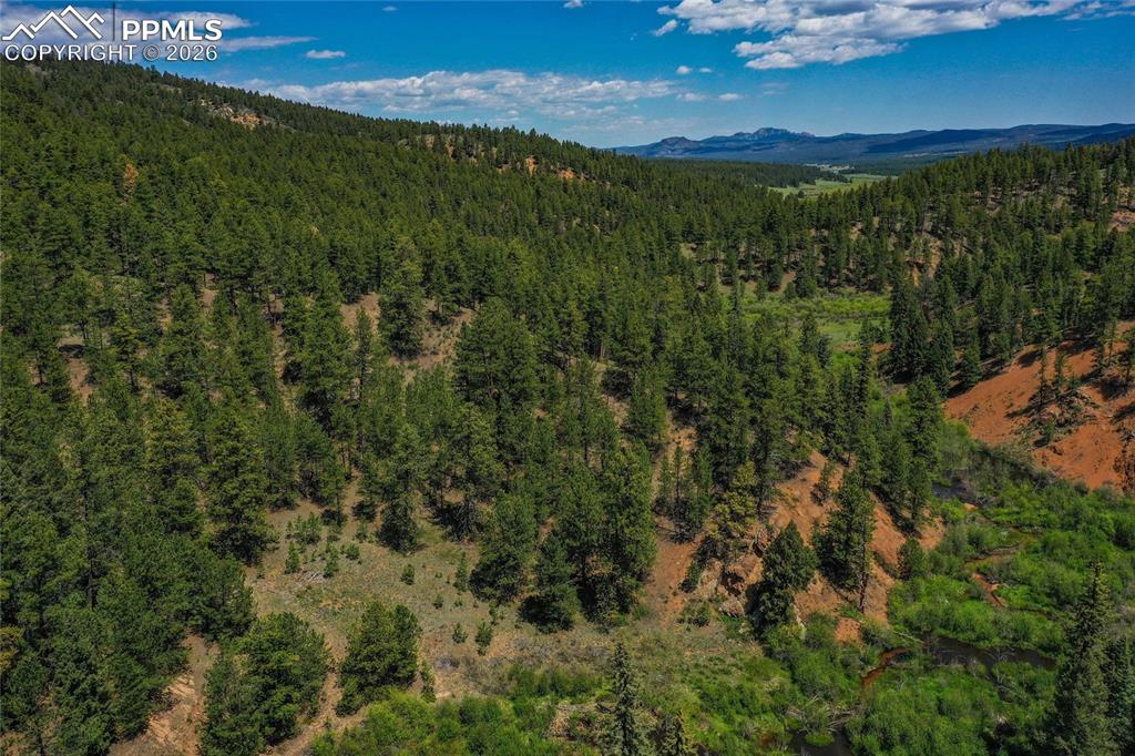 29545 Highway 67 Woodland Park CO 80863