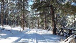 29545 Highway 67 Woodland Park CO 80863