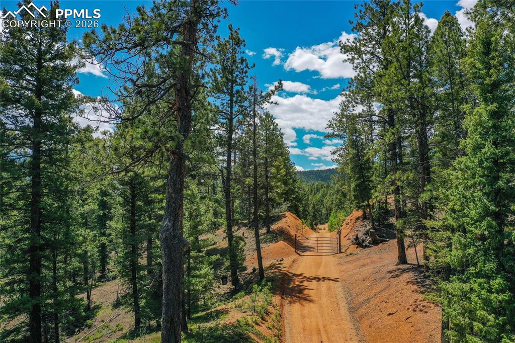 29545 Highway 67 Woodland Park CO 80863