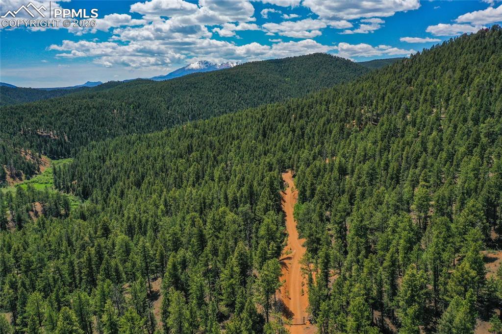29545 Highway 67 Woodland Park CO 80863