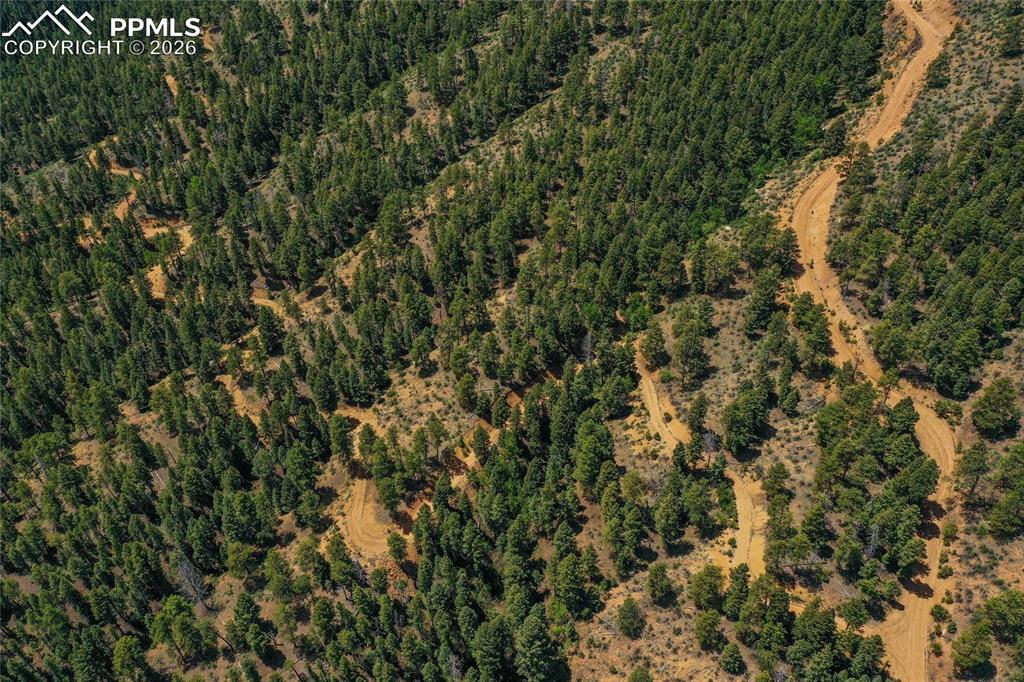 29545 Highway 67 Woodland Park CO 80863