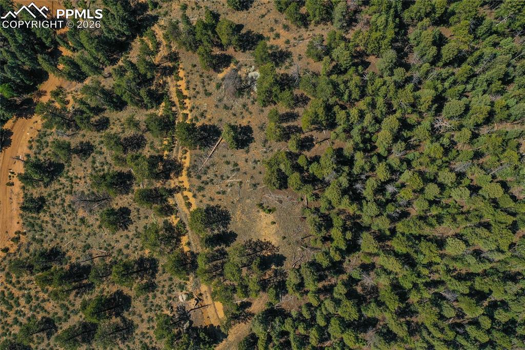 29545 Highway 67 Woodland Park CO 80863
