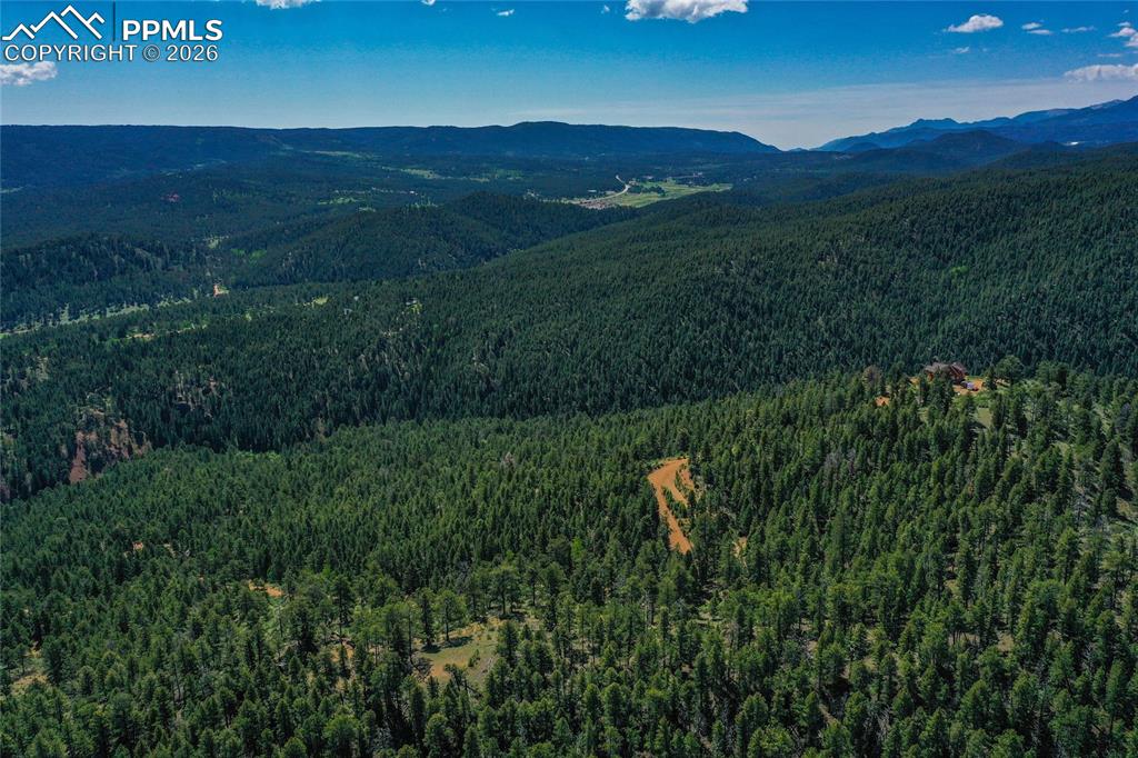 29545 Highway 67 Woodland Park CO 80863