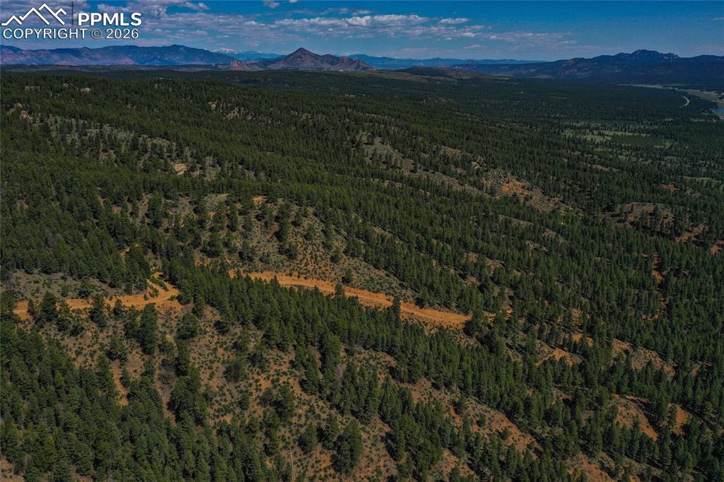 29545 Highway 67 Woodland Park CO 80863